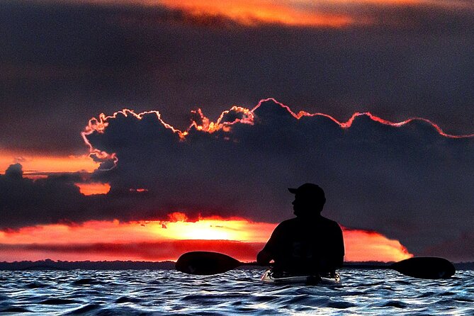 Clear Kayak Bioluminescence Tour - Cocoa Beach - Guides can shape the whole night