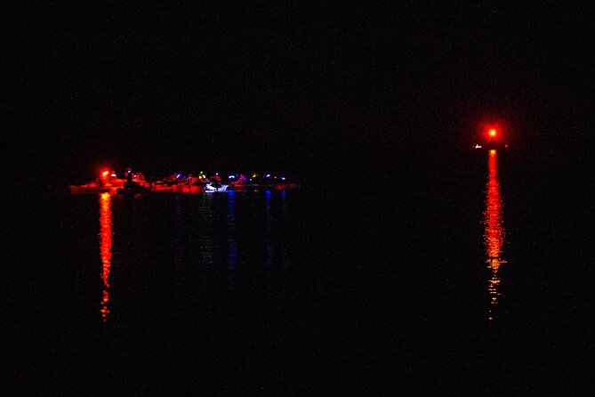 Clear Kayak Bioluminescence Tour - Cocoa Beach - Summer plankton and cooler-month jellyfish