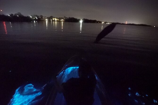 Clear Kayak Bioluminescence Tour - Two hours on the water, with a gentle pace