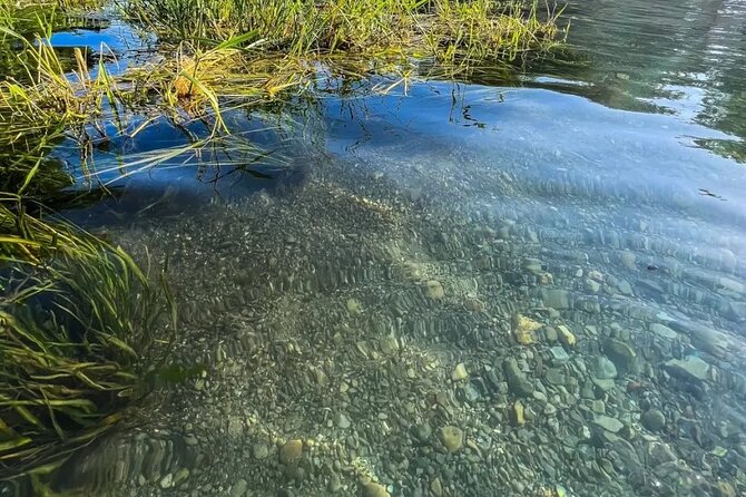 Clear Kayak Day Adventure Tour in San Marcos - Why the clear kayak changes the San Marcos River