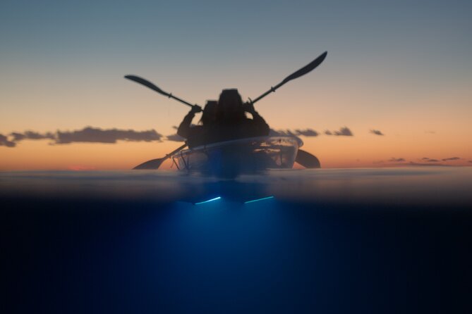 Clear Kayak Glow Night Tour - What the Pula glow SUP tour is really like