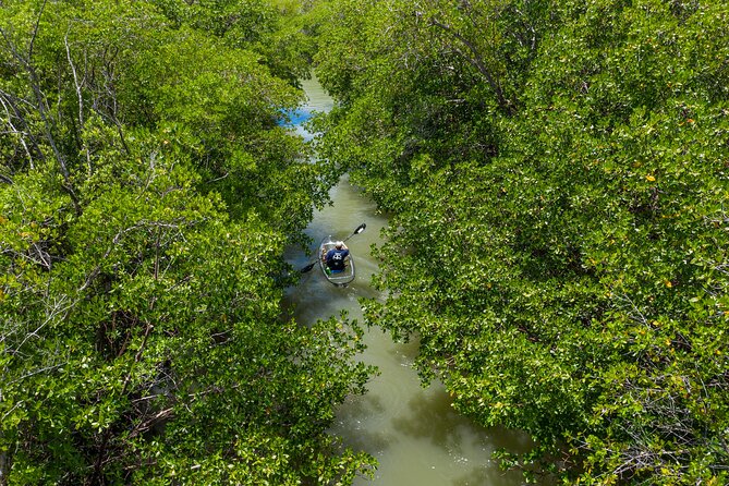 Clear Kayak Guided Eco Tour in North Naples - Starting at Cocohatchee River Marina
