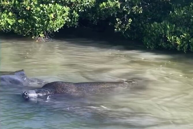 Clear Kayak Guided Eco Tour in North Naples - The beach stop and shelling break