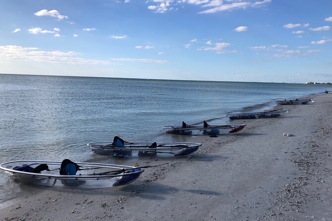 Clear Kayak Guided Eco Tour in North Naples - Guides, photos, and the small-group feel