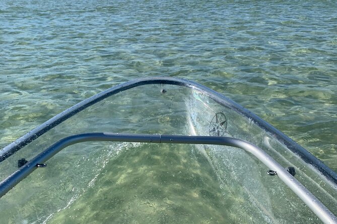 Clear Kayak Guided Eco Tour in North Naples - How demanding is the paddling?