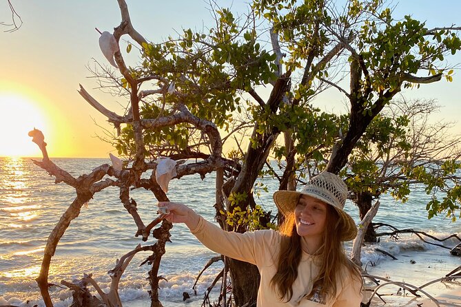 Clear Kayak Guided Eco Tour in North Naples - Is $84 a fair price?