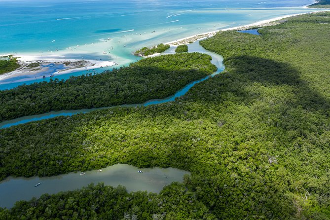 Clear Kayak Guided Eco Tour in North Naples - Through the mangrove corridors