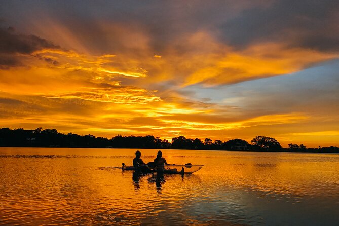 Clear Kayak Guided Kayak Tours in Titusville - The guide’s role goes beyond steering