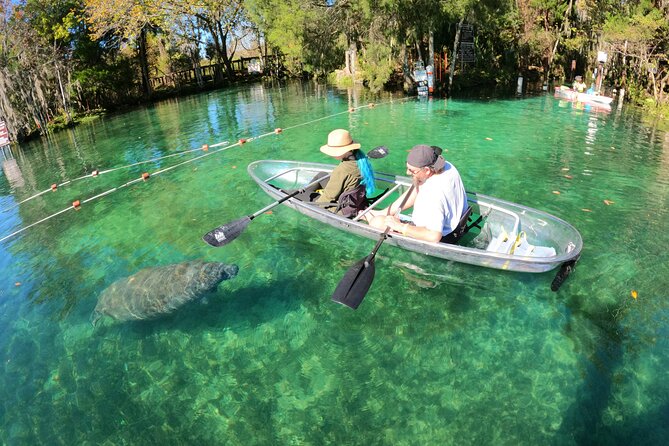 Clear Kayak Manatee Ecotour of Crystal River - What this Crystal River tour is really like