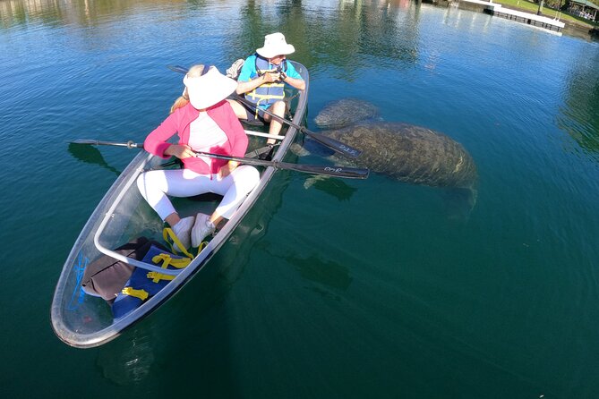 Clear Kayak Manatee Ecotour of Crystal River - Why the two-hour length works