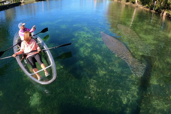 Clear Kayak Manatee Ecotour of Crystal River - Parking, fees, and the real cost