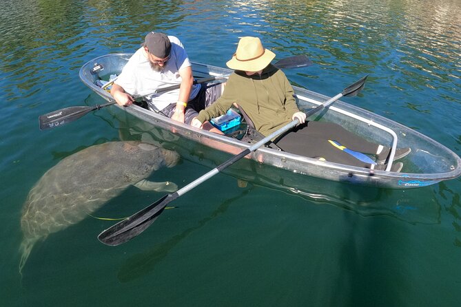 Clear Kayak Manatee Ecotour of Crystal River - Families, pairings, and physical requirements