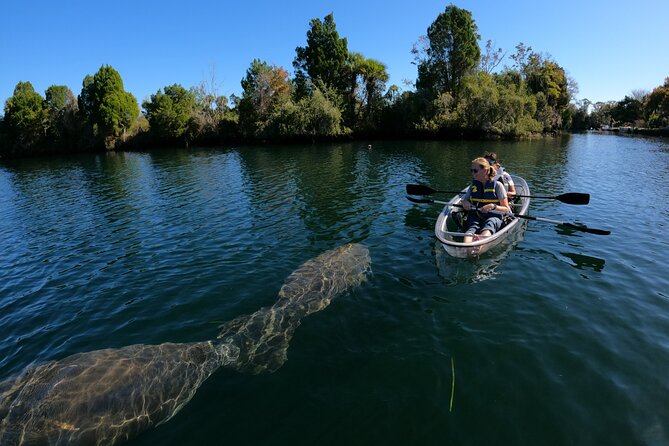 Clear Kayak Manatee Ecotour of Crystal River - What to wear and bring