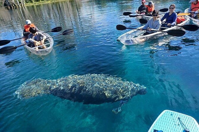 Clear Kayak or Paddleboard Manatee Adventure - Meeting the Group Without Confusion