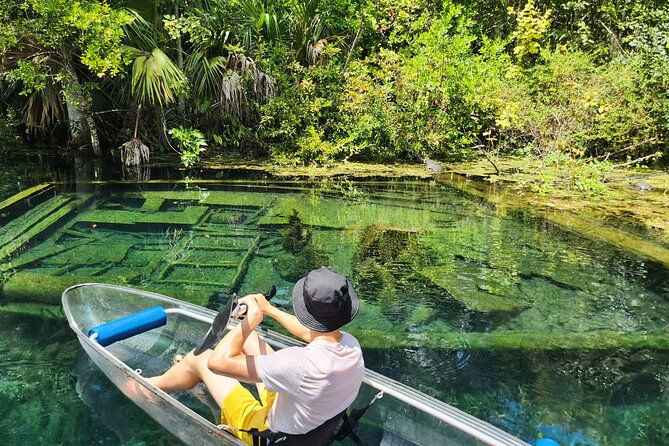 Clear Kayak or Paddleboard Manatee Adventure - What to Bring and What to Expect