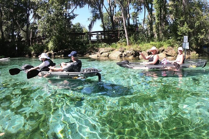 Clear Kayak Three Sisters Springs & Manatee Tour Of Crystal River - Price, group size, and what you receive