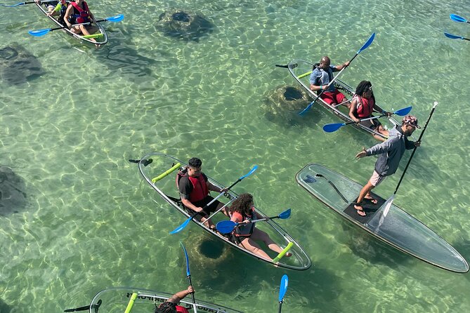 Clear Kayak Tour in Condado Lagoon - Quick points about the Condado Lagoon kayak tour