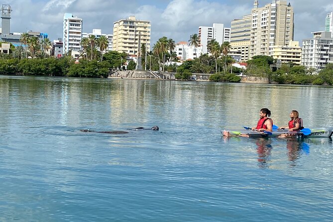 Clear Kayak Tour in Condado Lagoon - Who will enjoy this morning outing
