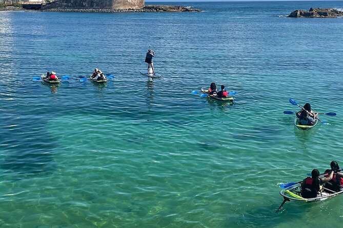Clear Kayak Tour in Condado Lagoon - Weather, cancellation, and the best time to book