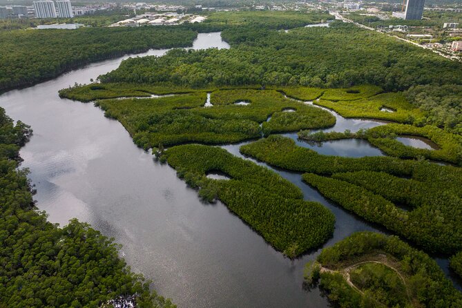 Clear Kayak Tour in North Miami Beach - Mangrove Tunnels - How strenuous and comfortable is the paddle?