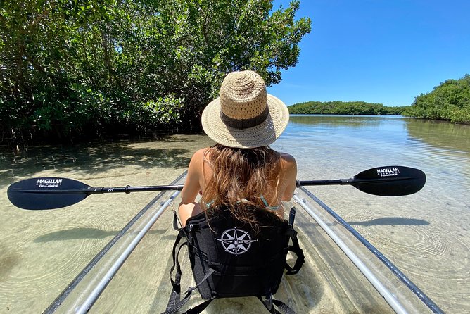 Clear Kayak Tour of Shell Key Preserve and Tampa Bay Area - Key things to know before you book