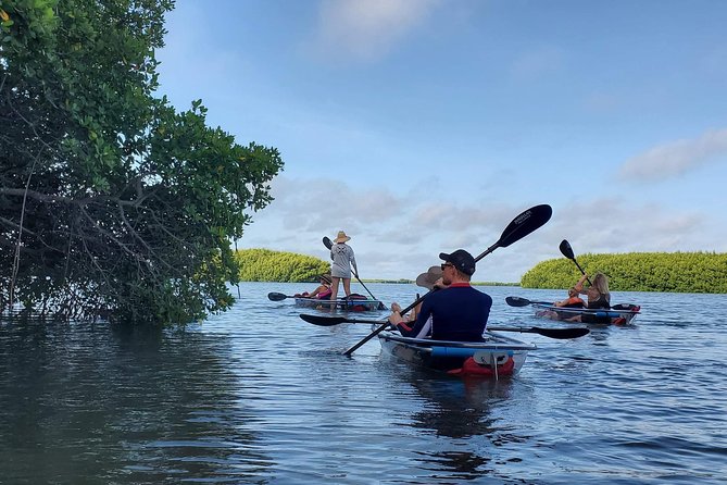 Clear Kayak Tour of Shell Key Preserve and Tampa Bay Area - Meeting the group at Billy’s Stone Crab