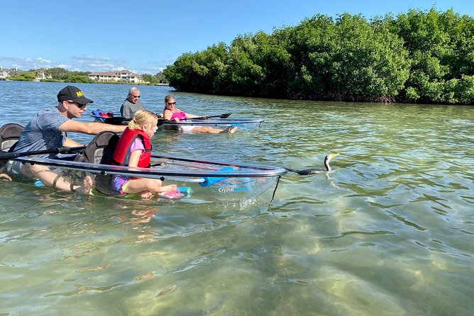 Clear Kayak Tour of Shell Key Preserve and Tampa Bay Area - Shell Key brings the best break