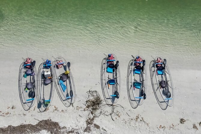 Clear Kayak Tour of Shell Key Preserve and Tampa Bay Area - Wildlife comes with no guarantees