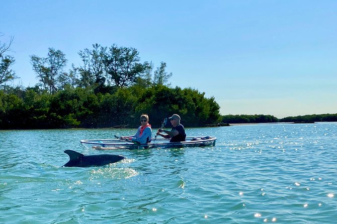Clear Kayak Tour of Shell Key Preserve and Tampa Bay Area - How hard is the two-hour paddle?