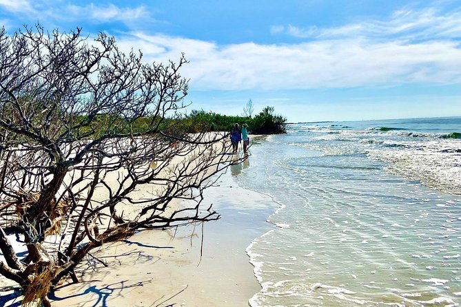 Clear Kayak Tour of Shell Key Preserve and Tampa Bay Area - The value of $79 per person