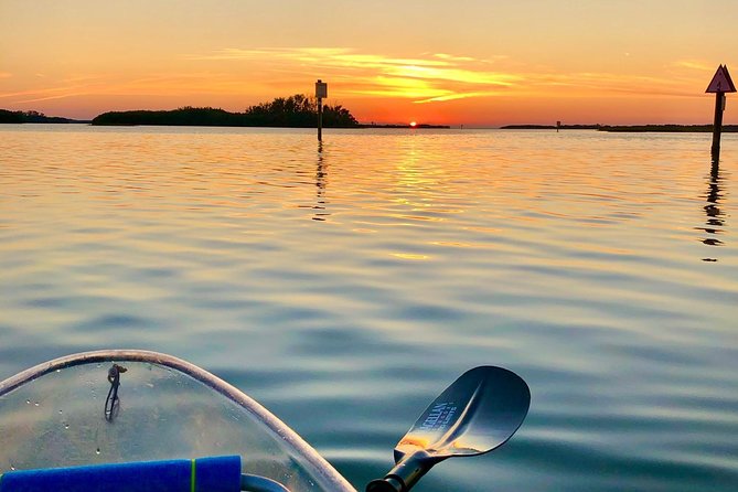 Clear Kayak Tour of Shell Key Preserve and Tampa Bay Area - Choosing the best departure time