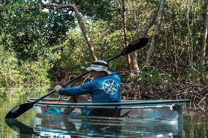 Clear Kayak Tours in Fort Pierce - Quick points to know