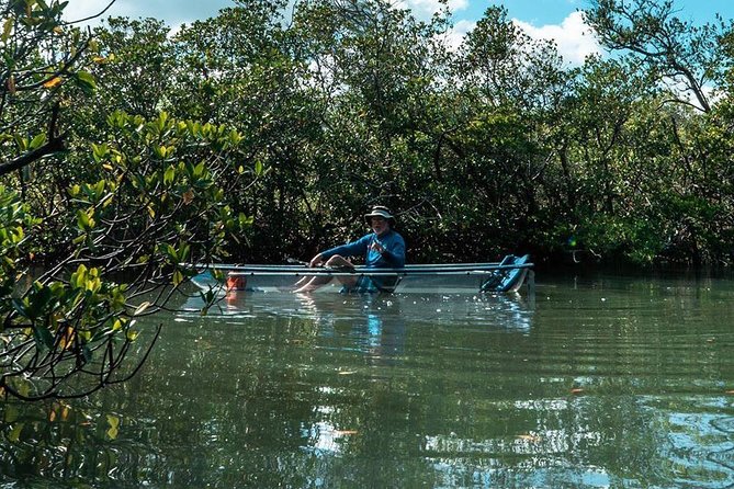 Clear Kayak Tours in Fort Pierce - Through the lagoon toward the mangroves