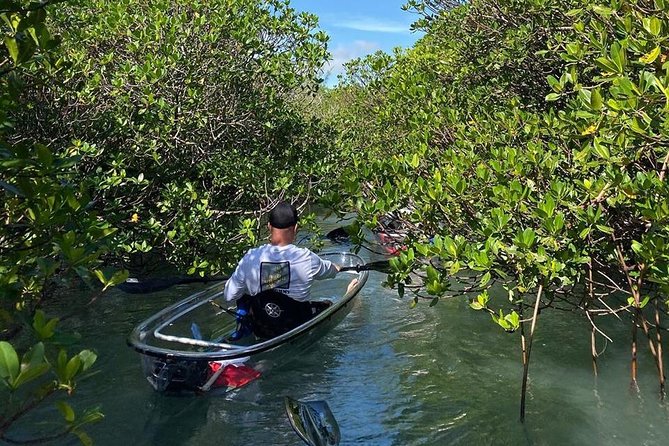 Clear Kayak Tours in Fort Pierce - What the $90 price gets you