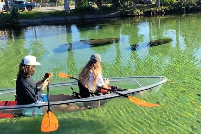 Clear Kayak Tours in Weeki Wachee - Quick take: what matters most