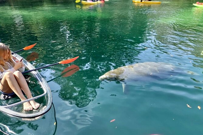 Clear Kayak Tours in Weeki Wachee - Guides make the difference
