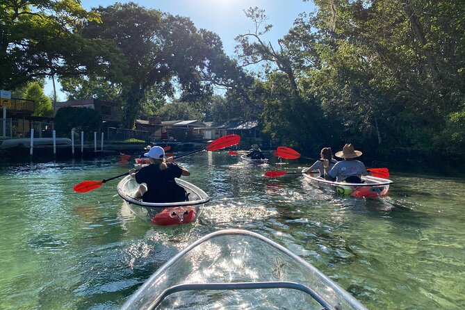 Clear Kayak Tours in Weeki Wachee - Who should book this trip
