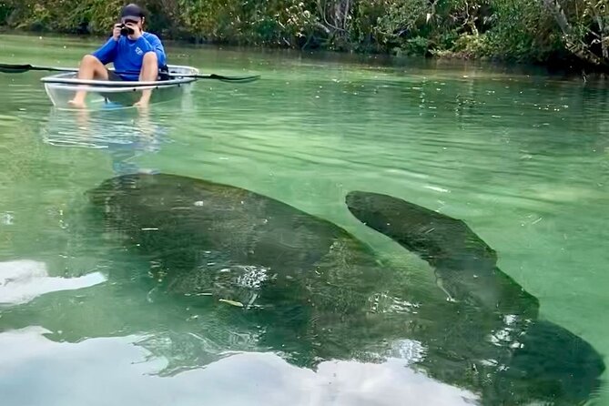 Clear Kayak Tours in Weeki Wachee - Practical ways to improve your outing