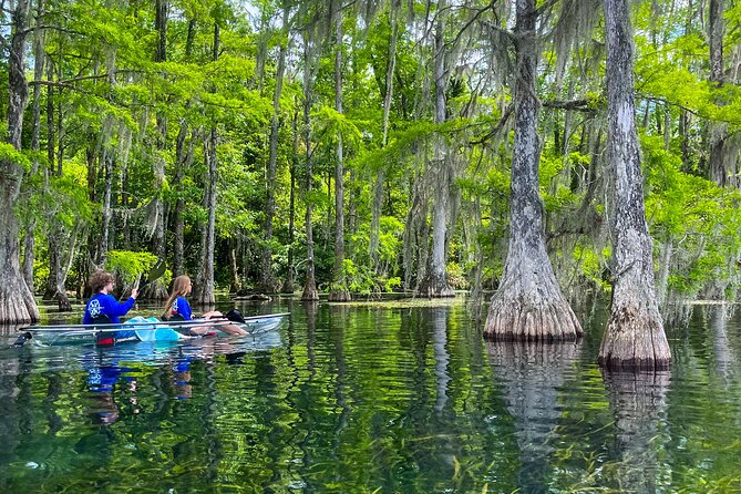 Clear Kayaking Eco Adventure Tour in Marianna - How much value do you get for $75?
