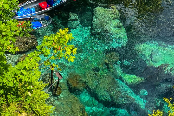 Clear Kayaking Eco Adventure Tour in Marianna - The first stretch: limestone, cypress, and spring water