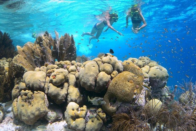 Clearbottom Mangrove Kayak & Snorkel tour - Beginning at Lac Cai Beach