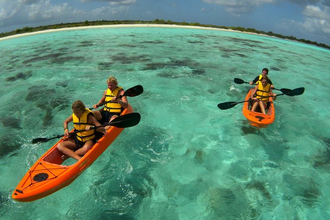 Clearbottom Mangrove Kayak & Snorkel tour - Paddling into the mangrove tunnels