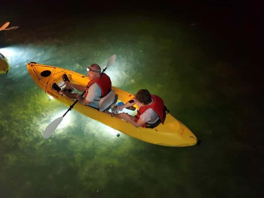 Clearwater Beach: Glass Bottom LED Kayak Night Tour - What the Clearwater night kayak tour is really like