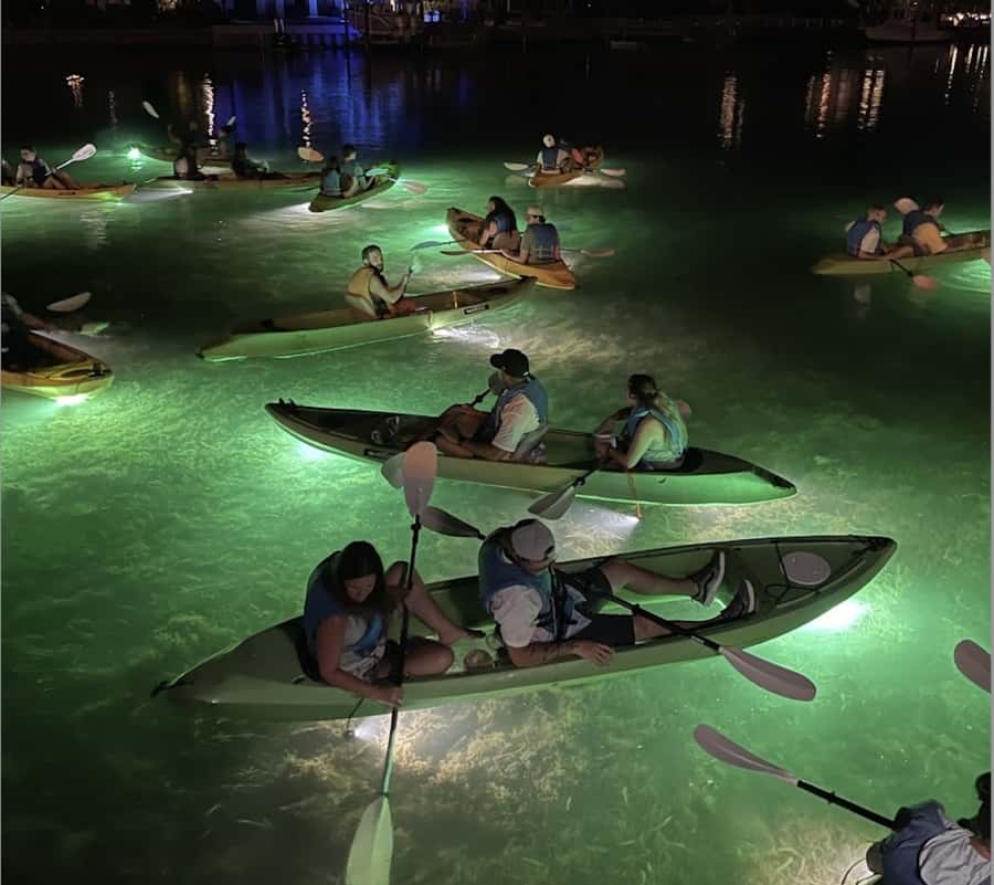 Clearwater Beach: Glass Bottom LED Kayak Night Tour - Seeing fish through the glass bottom