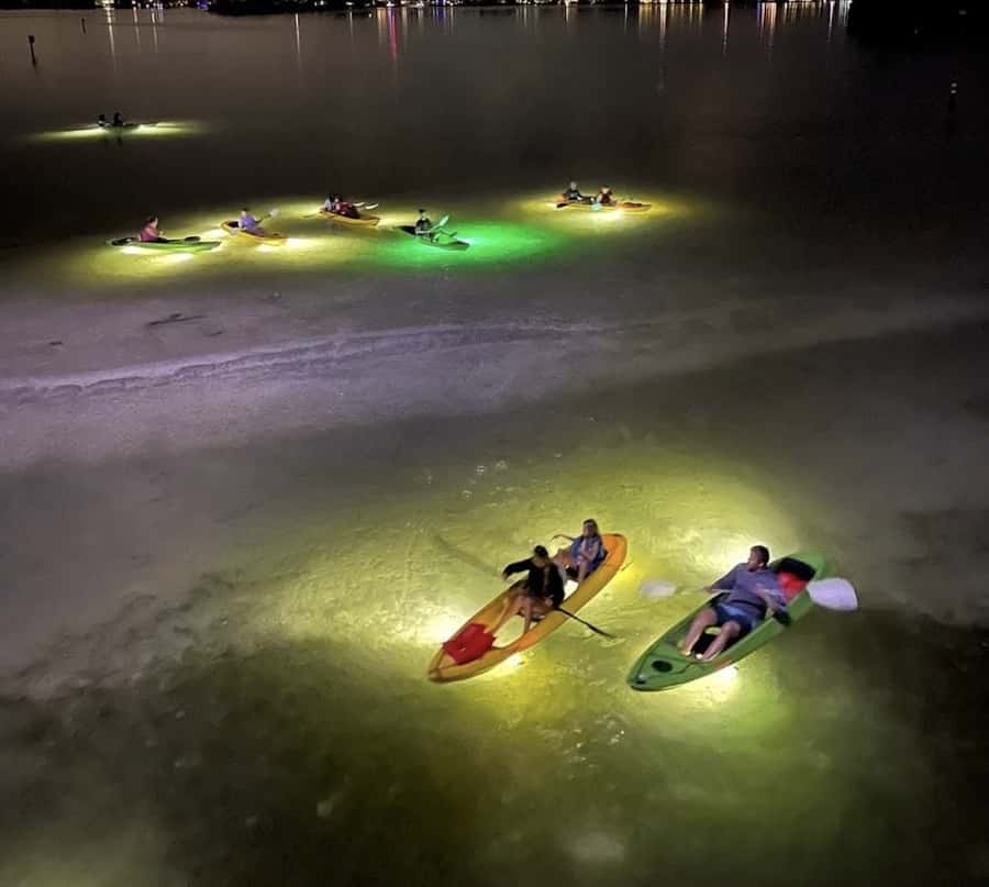 Clearwater Beach: Glass Bottom LED Kayak Night Tour - Mangroves, boulders, and the first wildlife search