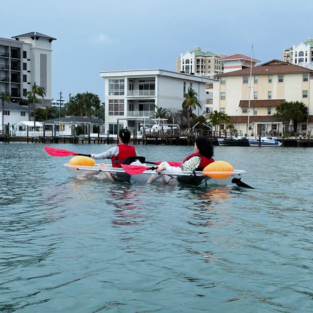 Clearwater: Guided Clear Kayaking Tour - Who will enjoy this Clearwater outing?