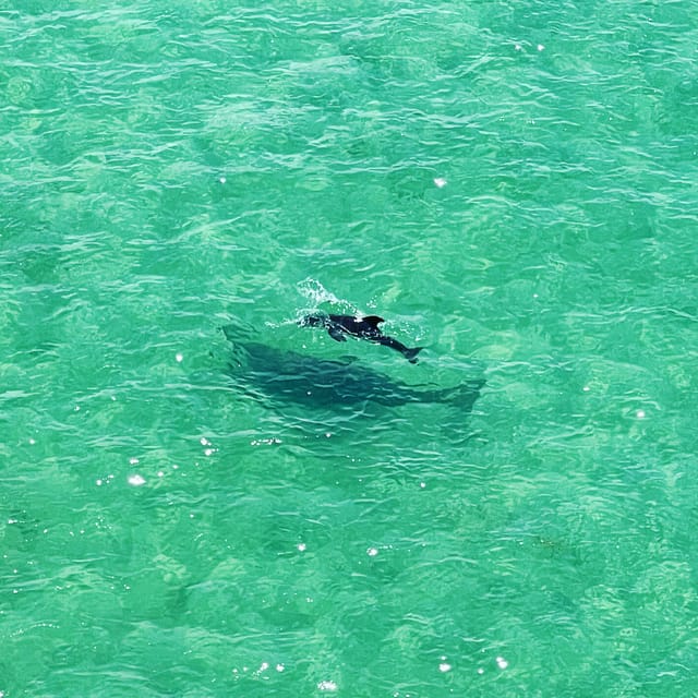 Clearwater: Guided Clear Kayaking Tour - Why the clear kayak changes the view