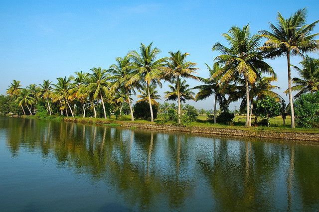 Cochin : Alleppey/Alappuzha Backwater Canoe (Shikara) Cruise - Key Points Before You Book