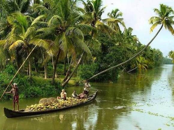 Cochin : Alleppey/Alappuzha Backwater Canoe (Shikara) Cruise - Boarding the Small Canoe at Alappuzha