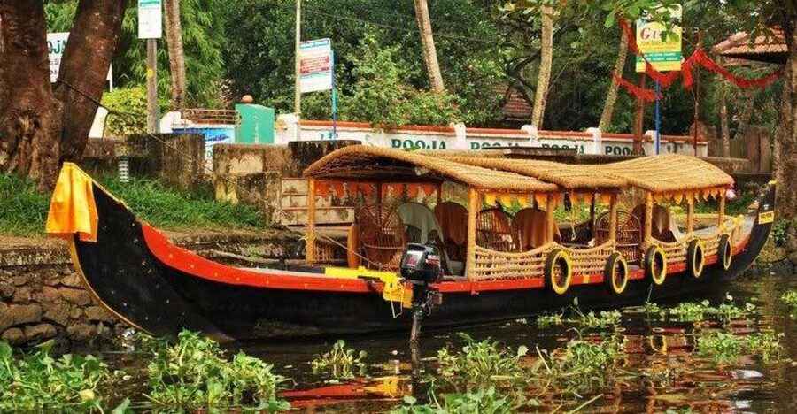 Cochin : Alleppey/Alappuzha Backwater Canoe (Shikara) Cruise - Paddy Fields, Coconut Palms, and Canal Life